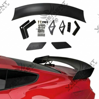 Eleron Portbagaj Ford Mustang GT 500 Model Vicrez Track Pack, 2015-2023